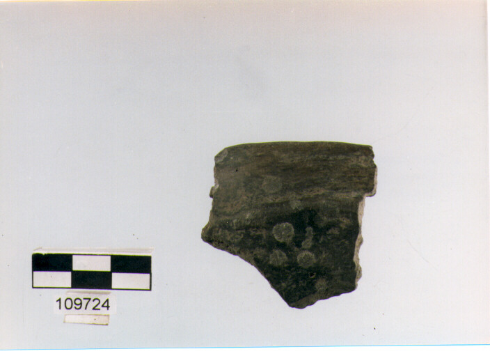 ciotola carenata, ciotole, tipo 11, Grotta Sant'Angelo (età del bronzo medio)