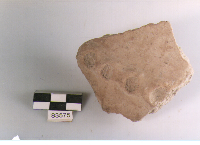 vaso/ parete cordonata, cordoni digitati,tipo3,Archi (BF/ prima età del Ferro)
