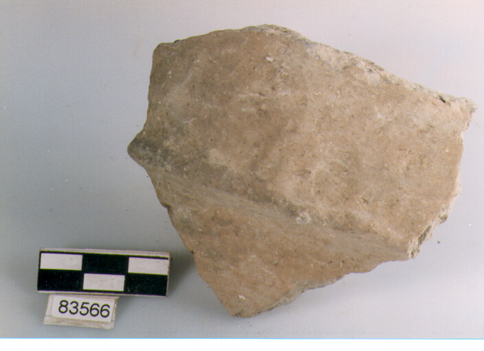 vaso/ parete cordonata, cordoni, tipo 1, Archi (BF/ prima età del Ferro)