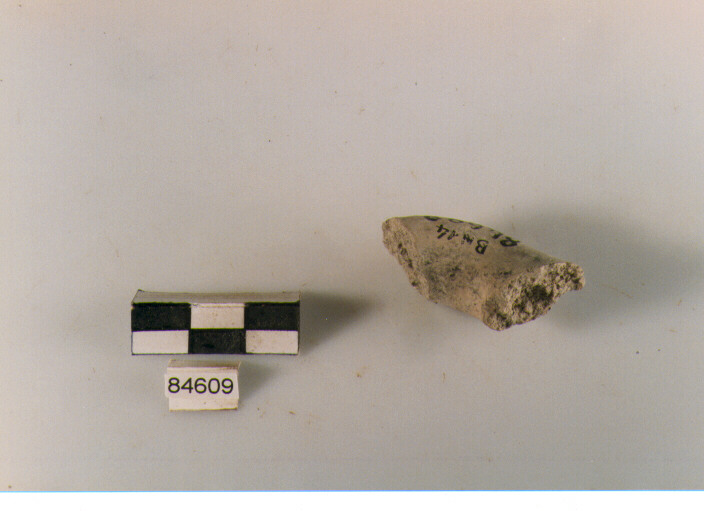 ansa a maniglia, anse a maniglia,Archi (BF/ prima età del Ferro)