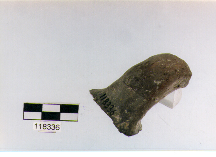 ansa a nastro, anse verticali, tipo 11, La Fortellezza (Prima età del ferro)