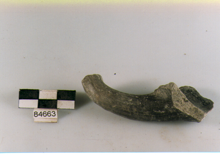 ansa a maniglia, anse a maniglia, tipo 1A, Archi (BF/ prima età del Ferro)