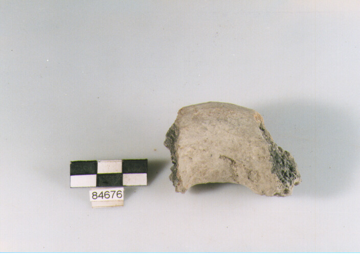 ansa orizzontale, anse attribuibili ad olle, Archi (BF/ prima età del Ferro)