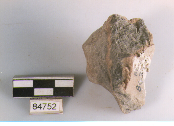 presa a lingua insellata, prese, tipo 2, Archi (BF/ prima età del Ferro)