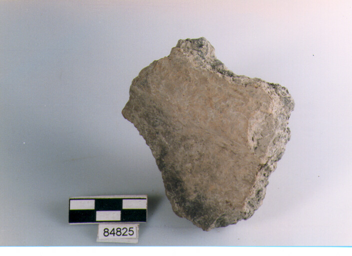 vaso/ parete cordonata, cordoni,tipo1,Archi (BF/ prima età del Ferro)