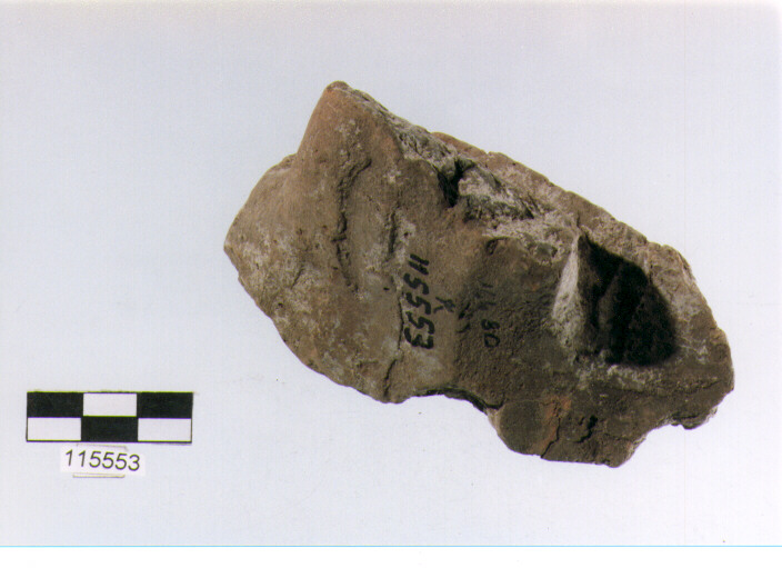 ansa a nastro, anse verticali, tipo 11, La Fortellezza (Prima età del ferro)