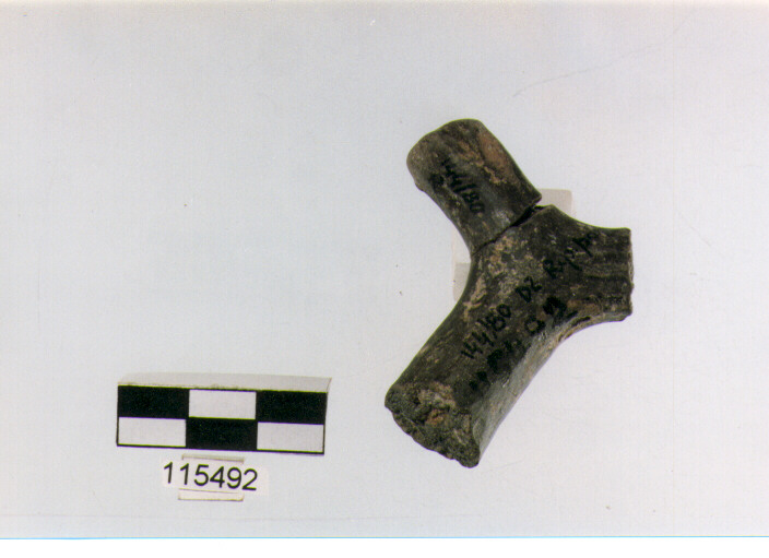 ansa a maniglia, anse a maniglia, tipo 10, La Fortellezza - piceno 1-2 (Prima età del ferro)