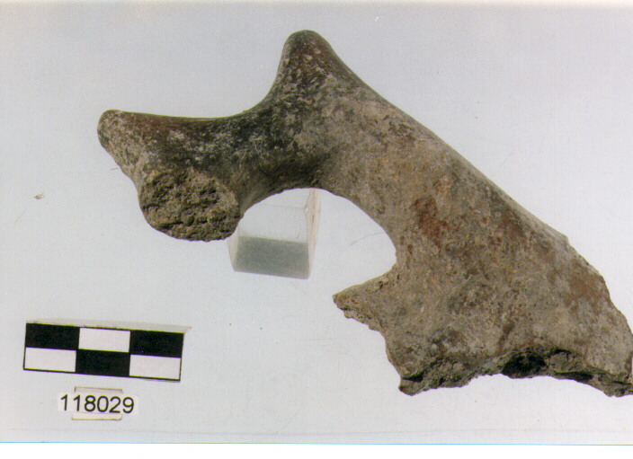 ansa a maniglia, anse a maniglia, tipo 10, La Fortellezza - piceno 1-2 (Prima età del ferro)