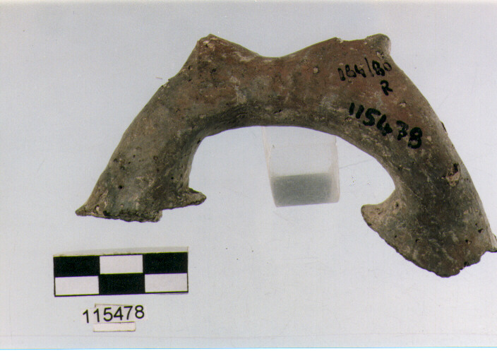 ansa a maniglia, anse a maniglia, tipo 10, La Fortellezza - piceno 1-2 (Prima età del ferro)