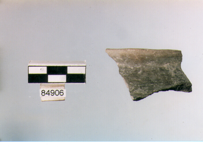 anforetta a collo distinto, anforette o brocchette tipo 8, Archi (BF/ prima età del Ferro)