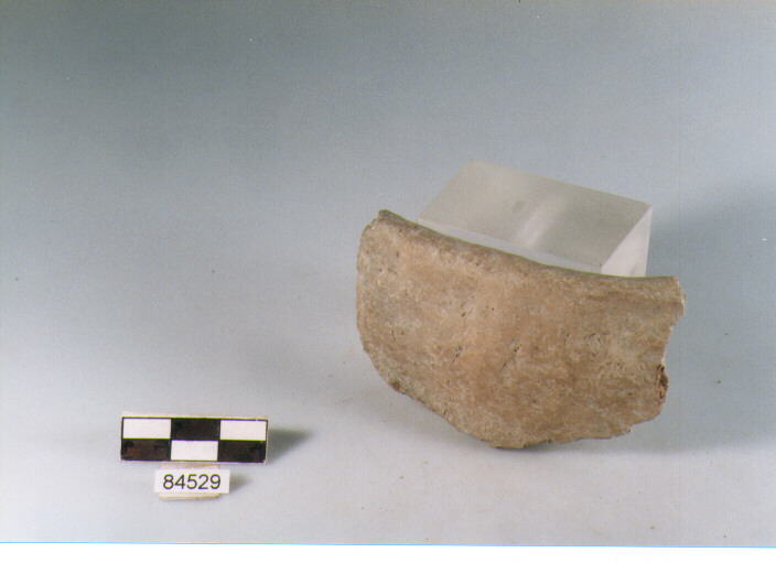 vaso/ parete cordonata, cordoni, tipo 1, Archi (BF/ prima età del Ferro)