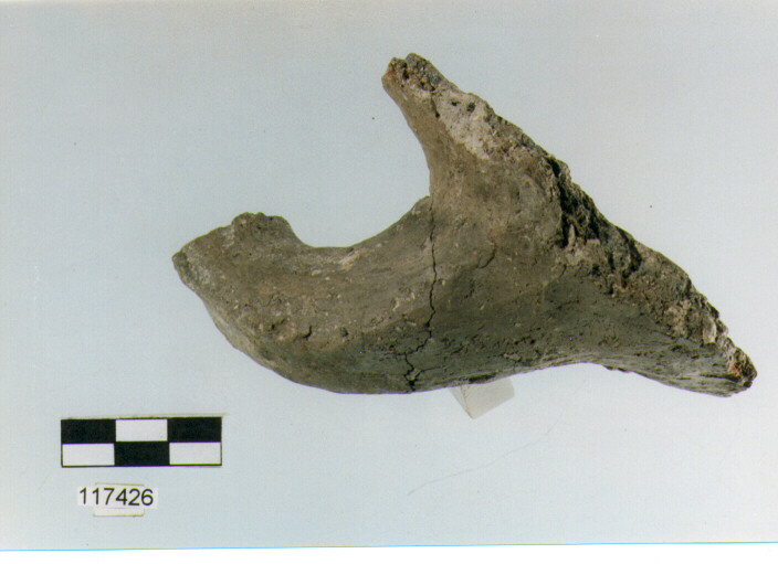 ansa a maniglia, anse a maniglia, tipo 3, La Fortellezza (Prima età del ferro)