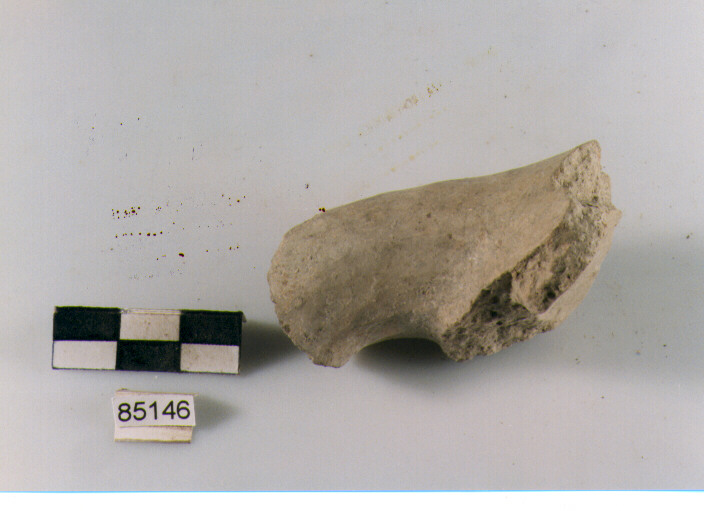 olla/ ansa a maniglia, anse a maniglia tipo 1B, Archi (BF/ prima età del Ferro)