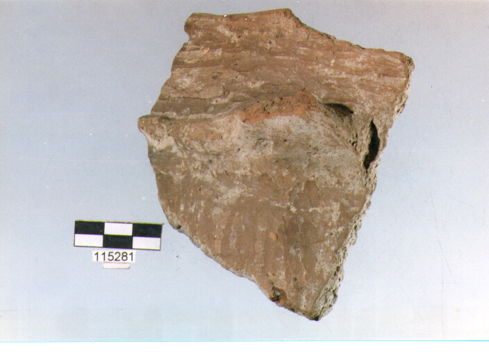 situla, situle tipo 3D, La Fortellezza (Prima età del ferro)