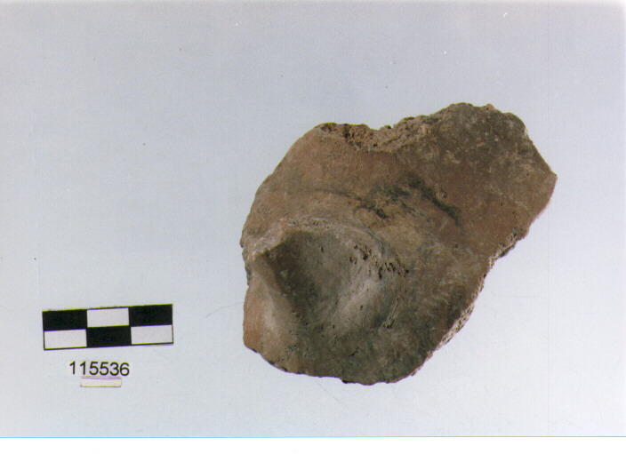 ansa a maniglia, anse a maniglia, tipo 1A, La Fortellezza (Prima età del ferro)