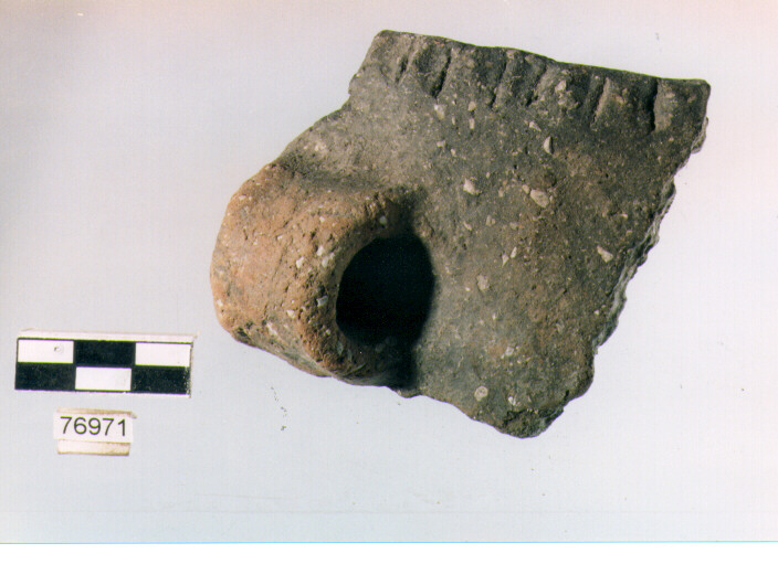 tazza, tipo F 33c, Ripoli - neolitico finale-Ripoli III (IV MILLENNIO a.C)