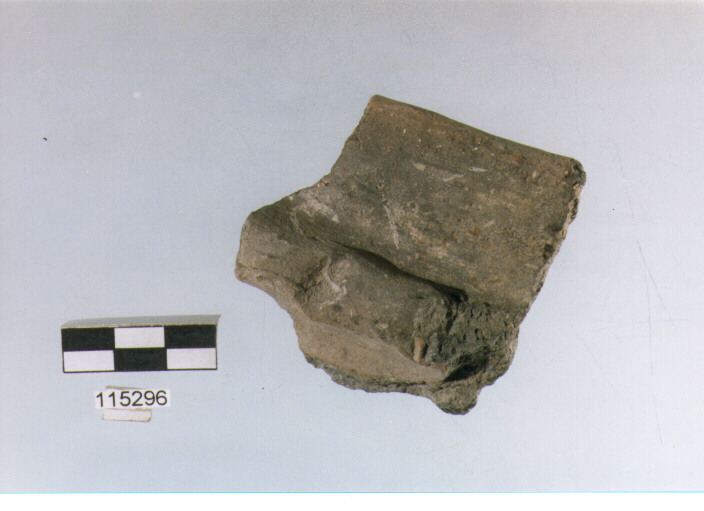 situla, situle tipo 3A, La Fortellezza (Prima età del ferro)