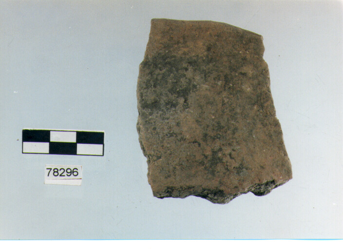 orlo, tipo E7, Fossacesia - neolitico finale 