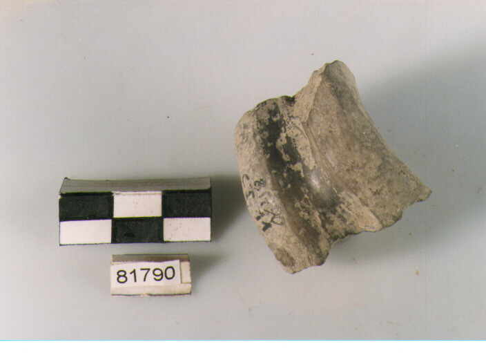 ansa verticale a nastro (BF/ prima età del Ferro)