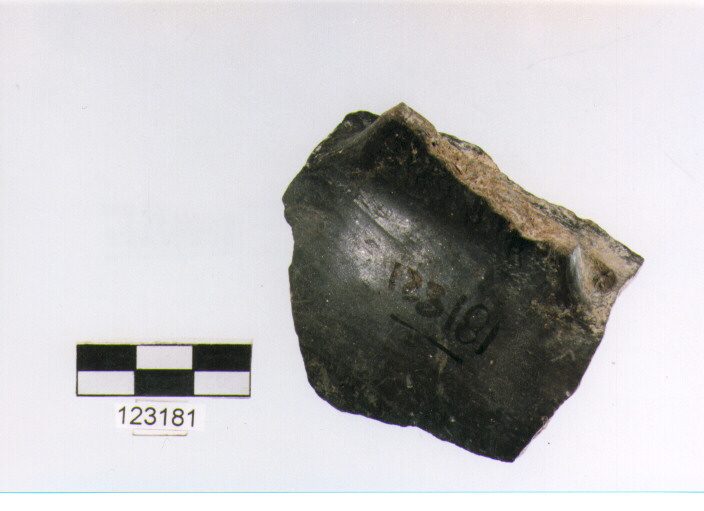 ansa a nastro, anse verticali, tipo 11, La Fortellezza (Prima età del ferro)