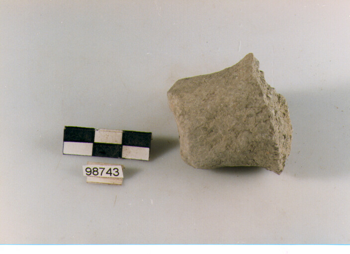 presa a lingua insellata, prese tipo 2, Archi (BF/ prima età del Ferro)