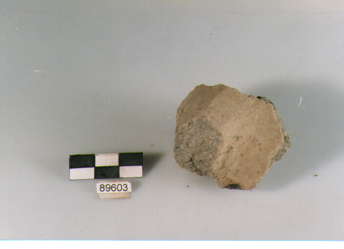 ansa orizzontale, anse attribuibili ad olle, Archi (BF/ prima età del Ferro)