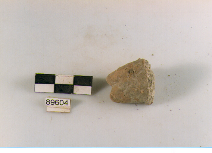 presa a lingua insellata, prese tipo 2, Archi (BF/ prima età del Ferro)