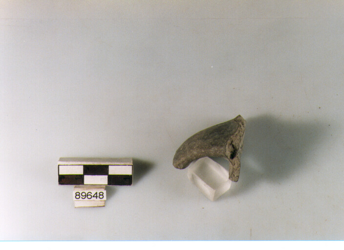 ansa verticale a nastro, anse a nastro, tipo 1 varietà A, Archi (BF/ prima età del Ferro)