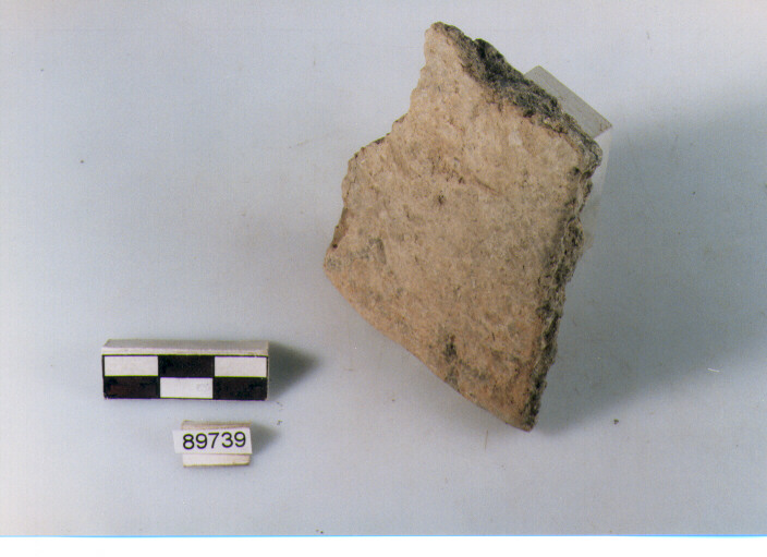 coperchio, coperchi profilo rettilineo, tipo 1C, Archi (BF/ prima età del Ferro)