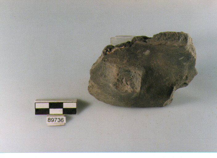 vaso/ parete, pareti con attacco d'ansa orizzontale, Archi (BF/ prima età del Ferro)