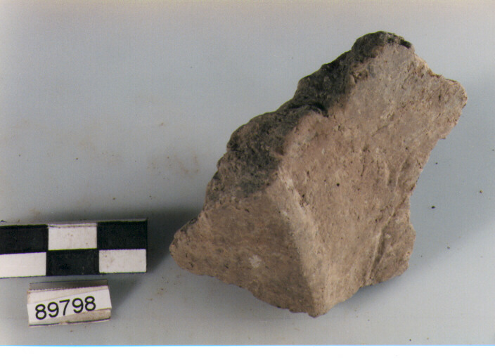 fondo, fondi tipo 3, Archi (BF/ prima età del Ferro)