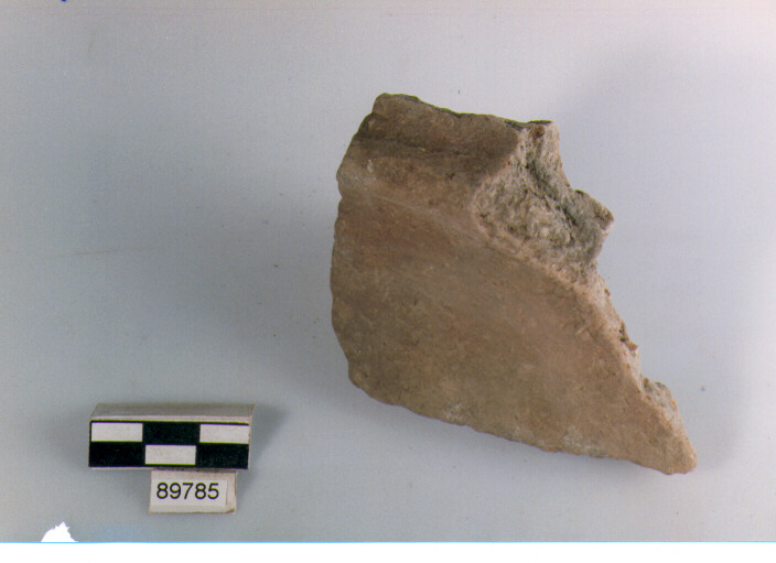 vaso/ parete cordonata, cordoni,tipo1,Archi (BF/ prima età del Ferro)