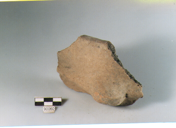 DOLIO CORDONATO, dolli a botte, tipo A, Archi (BF/ prima età del Ferro)