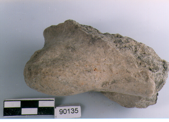 presa a lingua, presa, tipo 1, Archi (BF/ prima età del Ferro)