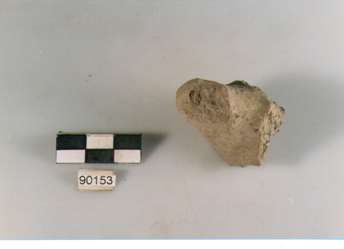 presa (BF/ prima età del Ferro)