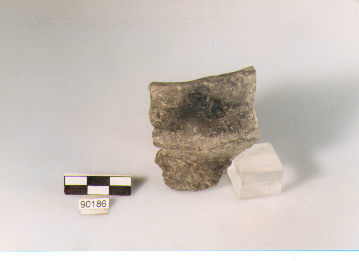 DOLIO CORDONATO, dolii a botte, tipo 1, Archi (BF/ prima età del Ferro)