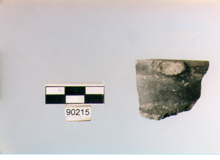 anforetta a collo distinto, anforette o brocchette tipo 8, Archi (BF/ prima età del Ferro)