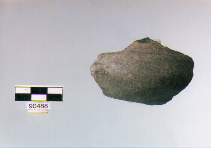 tazza/ parete (BF/ prima età del Ferro)