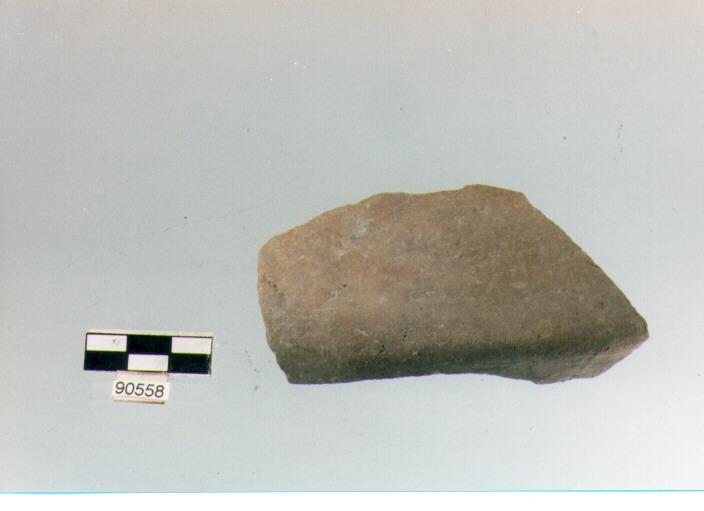 scodella/ vasca, pareti, Archi (BF/ prima età del Ferro)