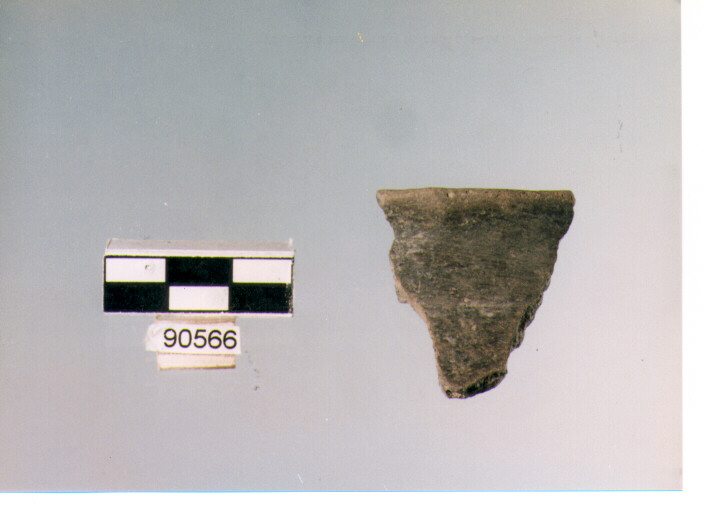 orlo (BF/ prima età del Ferro)