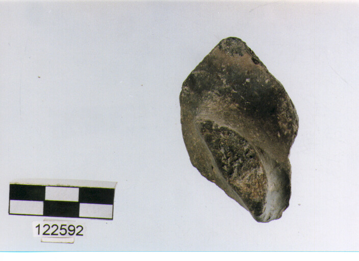 ansa a nastro, anse verticali, tipo 11, La Fortellezza (Prima età del ferro)