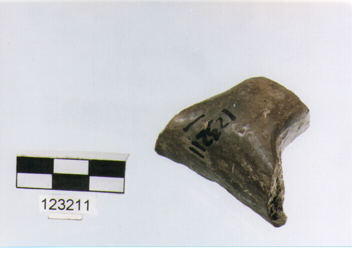 ansa a nastro, anse verticali, tipo 11, La Fortellezza (Prima età del ferro)