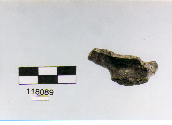 ansa a nastro, anse verticali, tipo 11, La Fortellezza (Prima età del ferro)