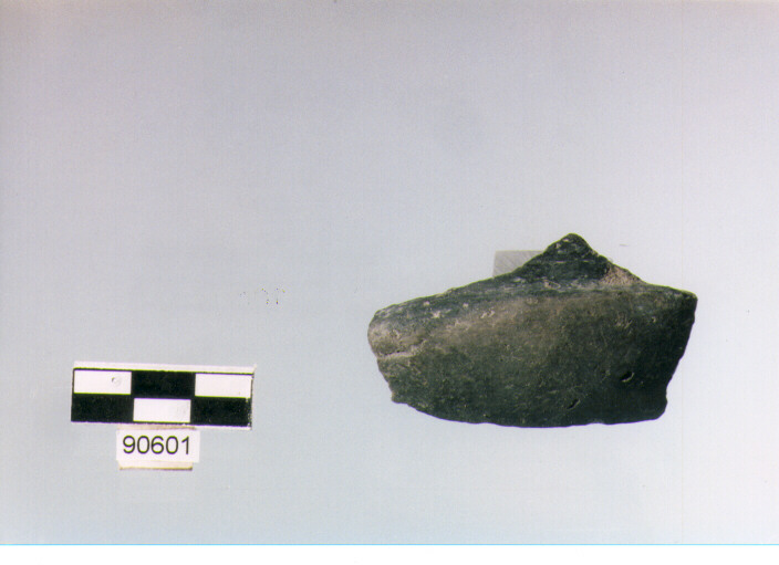 tazza/ parete (BF/ prima età del Ferro)