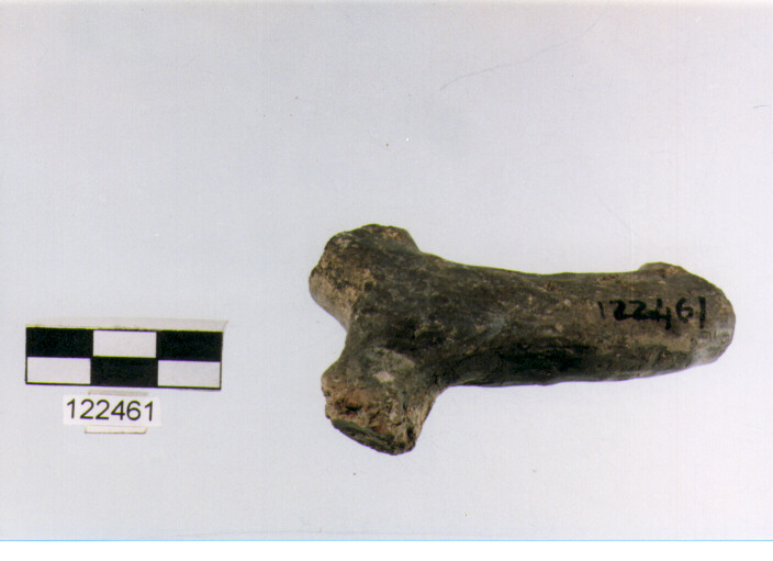 ansa a maniglia, anse a maniglia, tipo 10B, La Fortellezza - piceno 1-2 (Prima età del ferro)