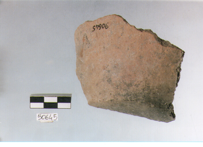 fondo, fondi, tipo 1, Archi (BF/ prima età del Ferro)