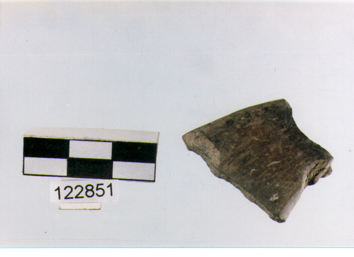 ansa a nastro, anse verticali, tipo 12, La Fortellezza (Prima età del ferro)