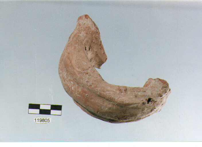 ansa a nastro, anse verticali, tipo 14C, La Fortellezza (Prima età del ferro)