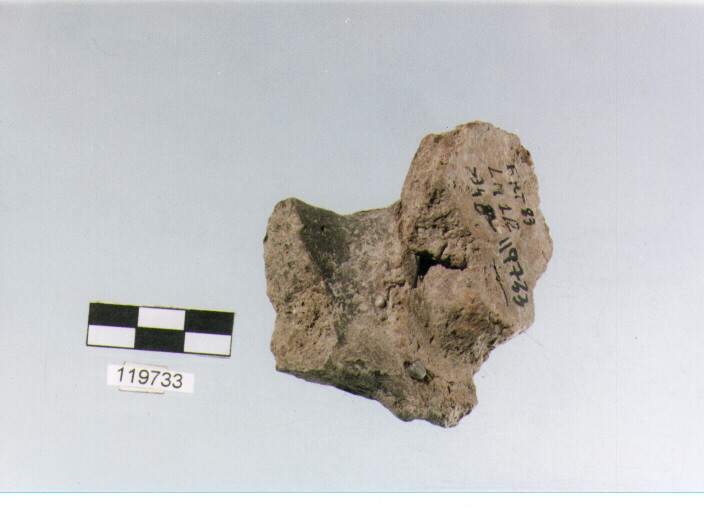 ansa a nastro, anse verticali, tipo 14C, La Fortellezza (Prima età del ferro)