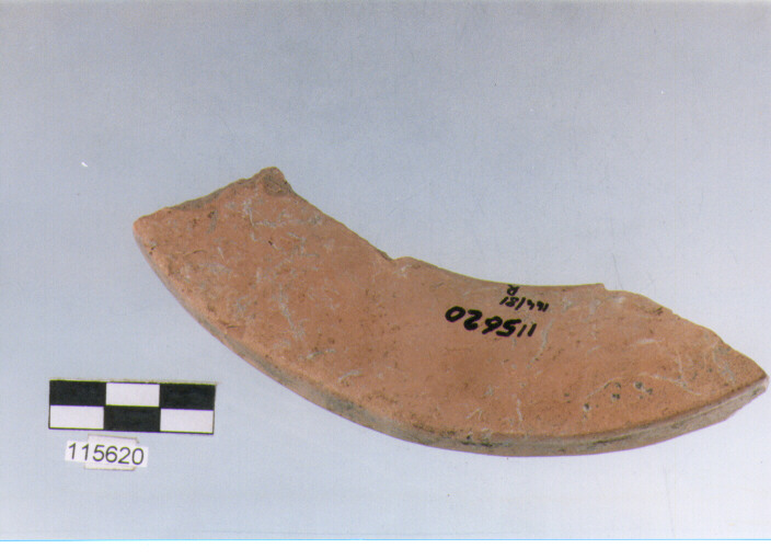 vaso a collo, vasi a collo, tipo 15C, La Fortellezza (Prima età del ferro)